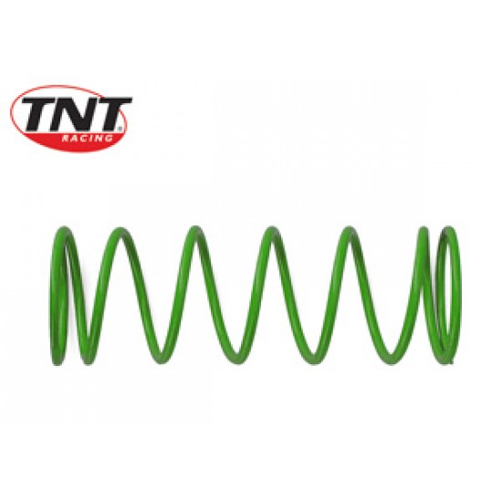 Torque converter spring TNT